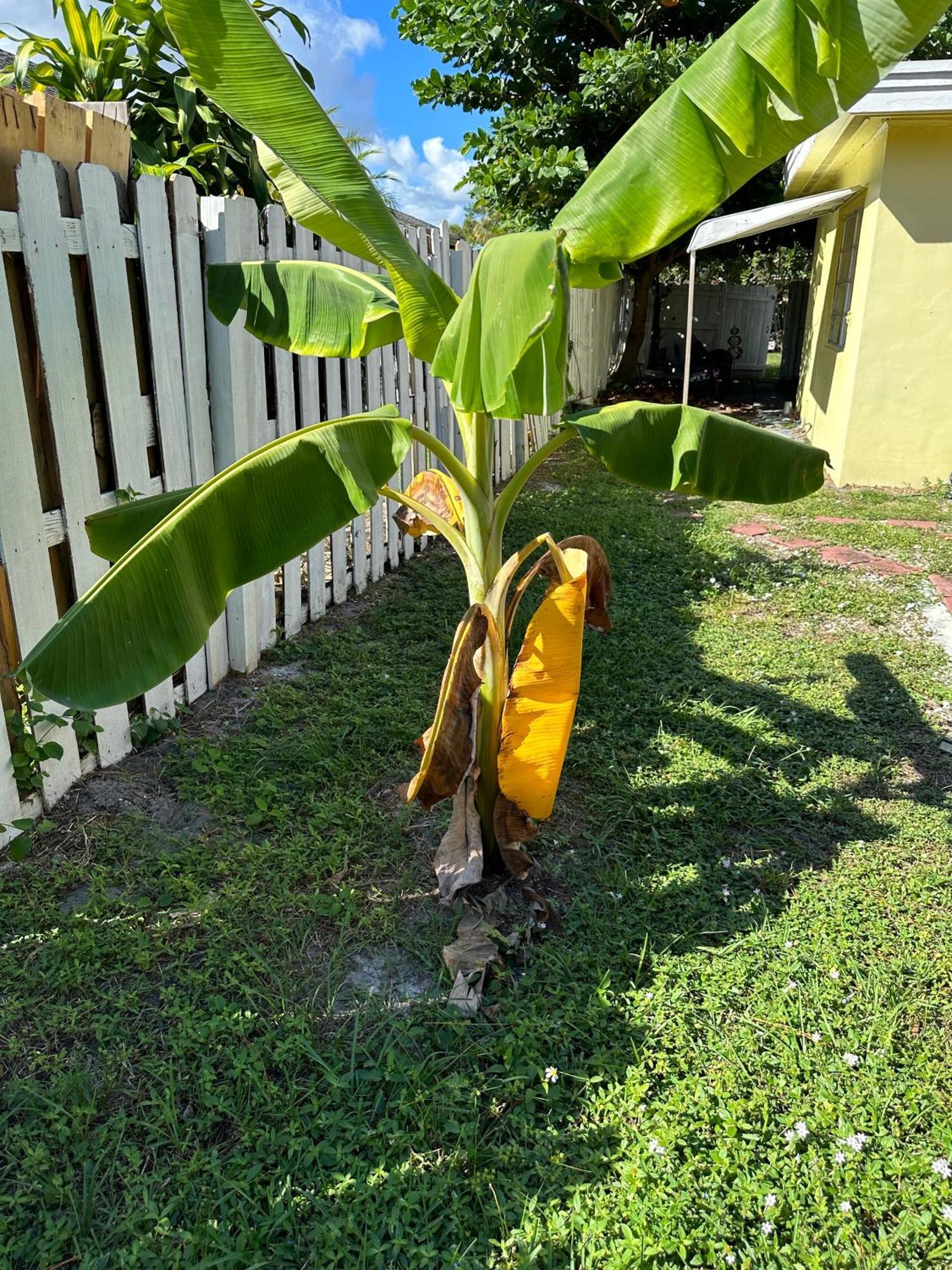 3 Bedroom House Fenced Backyard Private Patio Areas Grill Firepit Plenty Parking! Quick Access 10 Min To Beach Airport Delray West Palm Lake Worth Beach Exterior photo